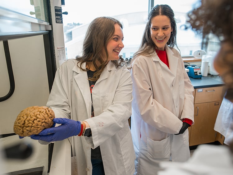 Students in lab coats and gloves carefully handling a brain specimen for a lab.