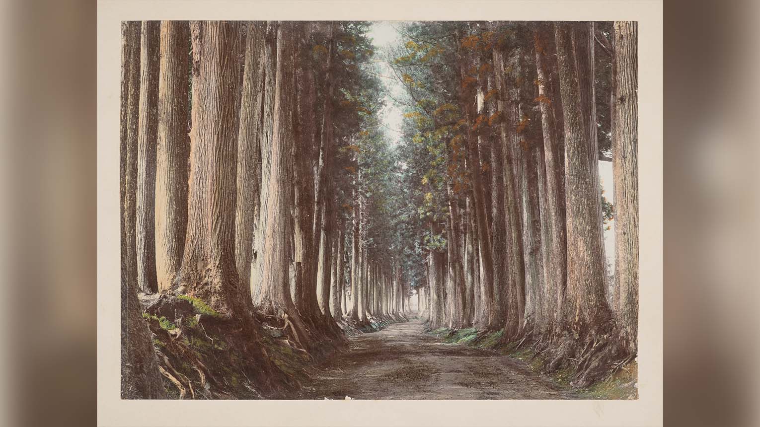 A serene painting of a road flanked by tall, lush trees, creating a peaceful, natural pathway.