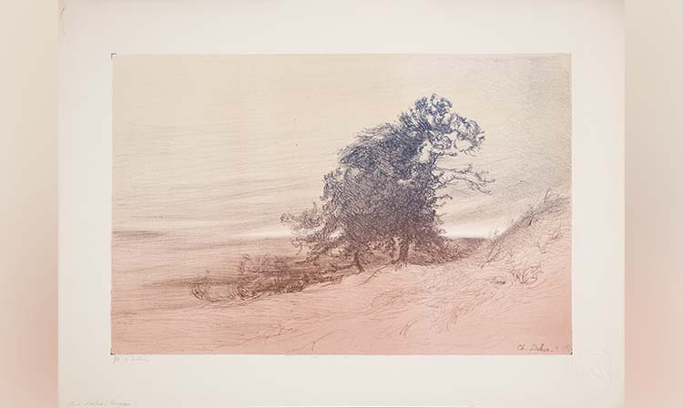 A simple drawing of a tree standing tall on a grassy hillside.