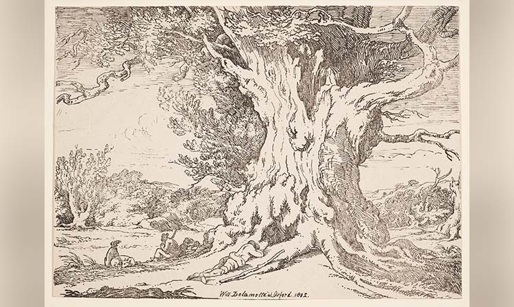 Illustration of a tree with a man and his dog, capturing a peaceful moment in nature.
