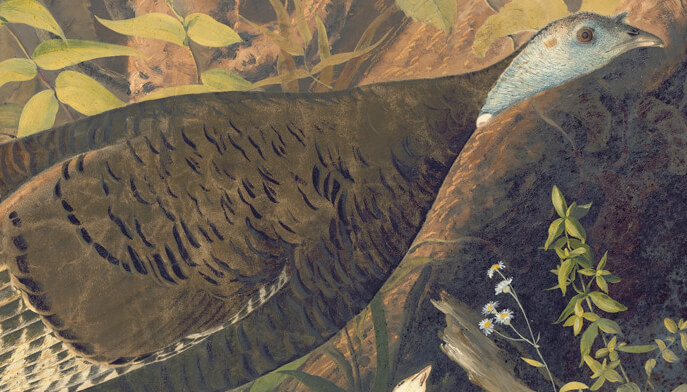 A painting depicting a turkey standing amidst trees in a serene forest setting. 