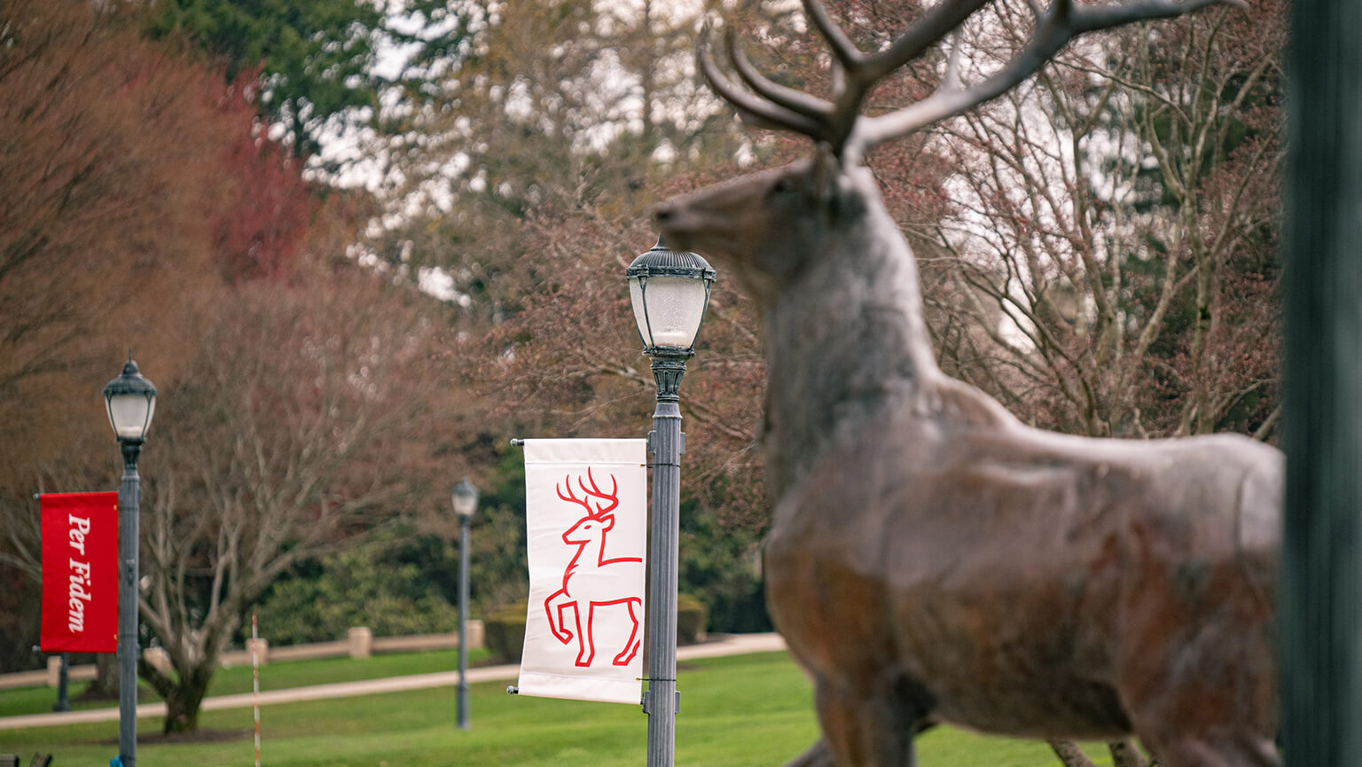 A detailed statue of a deer standing gracefully, showcasing its antlers and naturalistic features, Fairfield University campus setting in background.