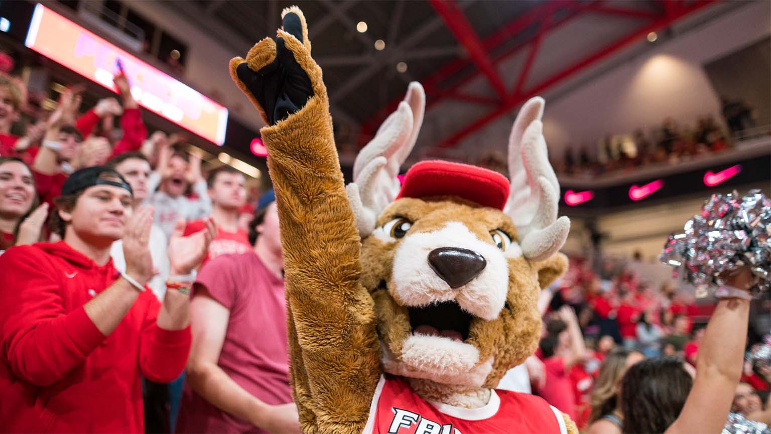 Image of a cheerful Lucas the Stag in red gear pumps up the crowd with excitement and energy.