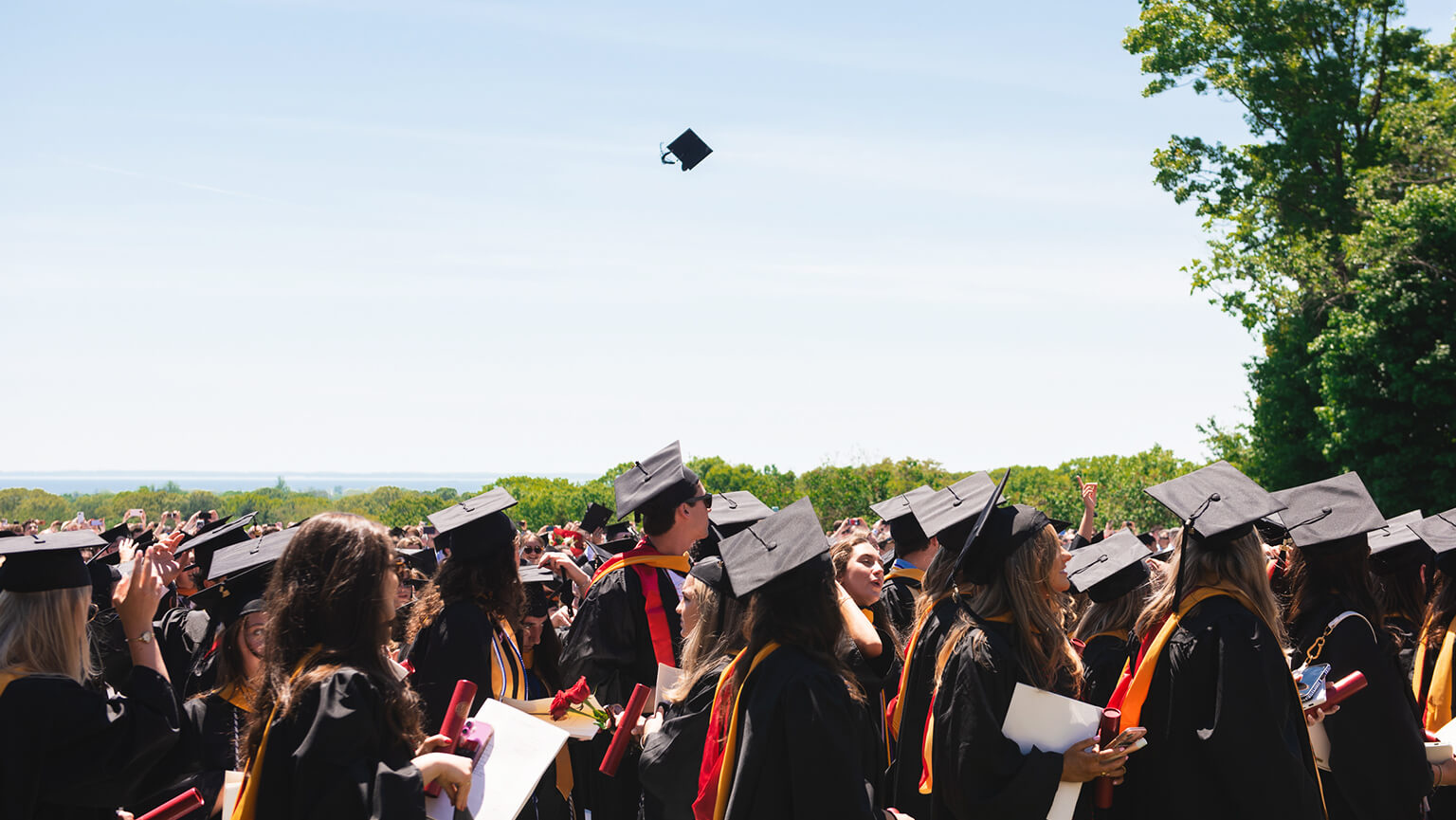 Graduates in caps and gowns celebrate outdoors under a clear sky, with one cap seen mid-air. The scene is joyful and lively, set against a green landscape.