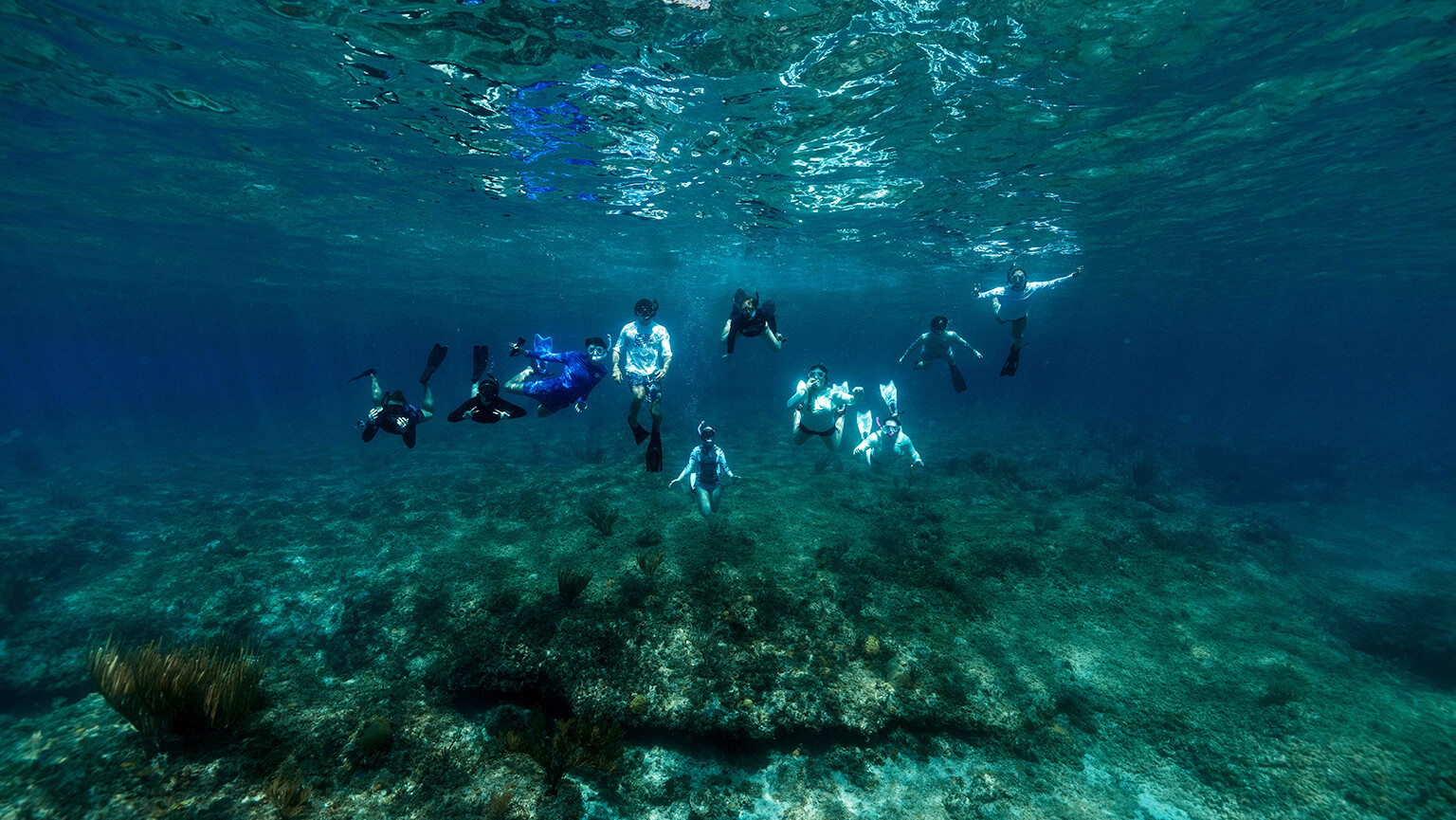 A group of students explore a sunlit underwater reef, surrounded by clear turquoise water, coral, and marine life in a serene scene.