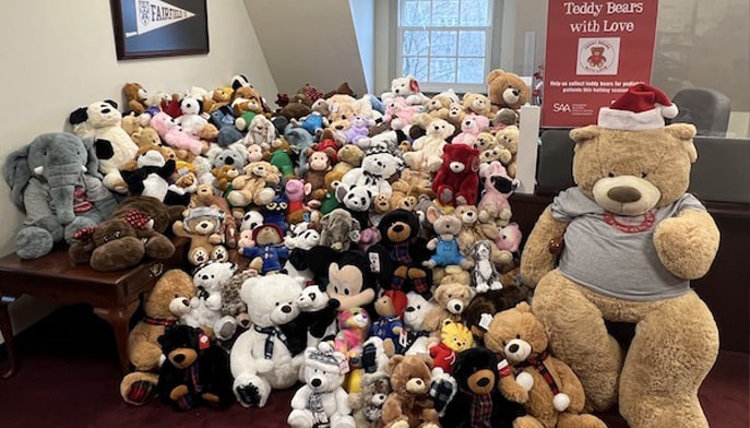 Teddy Bears on display