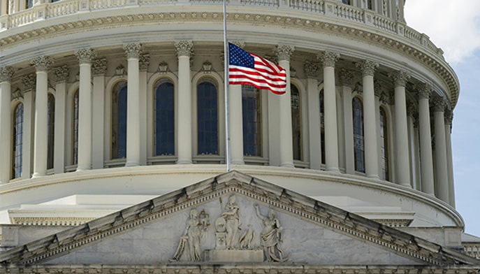 capitol building and flag