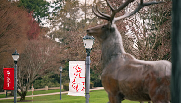 A detailed statue of a deer standing gracefully, showcasing its antlers and naturalistic features, Fairfield University campus setting in background.