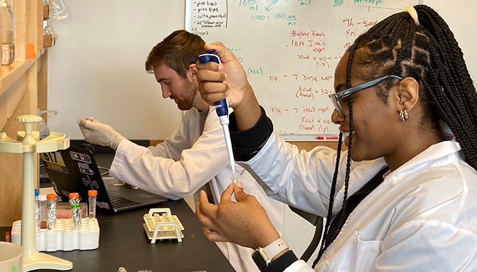 Two undergrad research students in lab coats pipetting samples into test tubes.