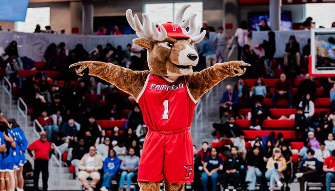  Lucas the stag performs in an arena, demonstrating impressive athleticism and captivating the audience with his moves.