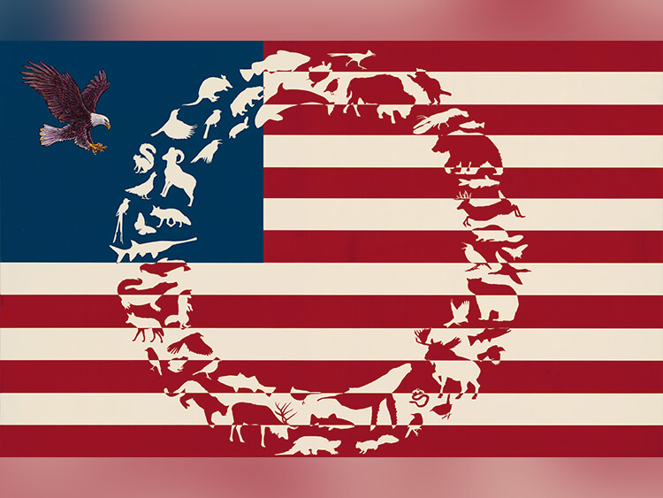 The American flag is creatively formed with animal silhouettes, a bald eagle in the blue field. A variety of wildlife shapes complete the image, suggesting diversity.