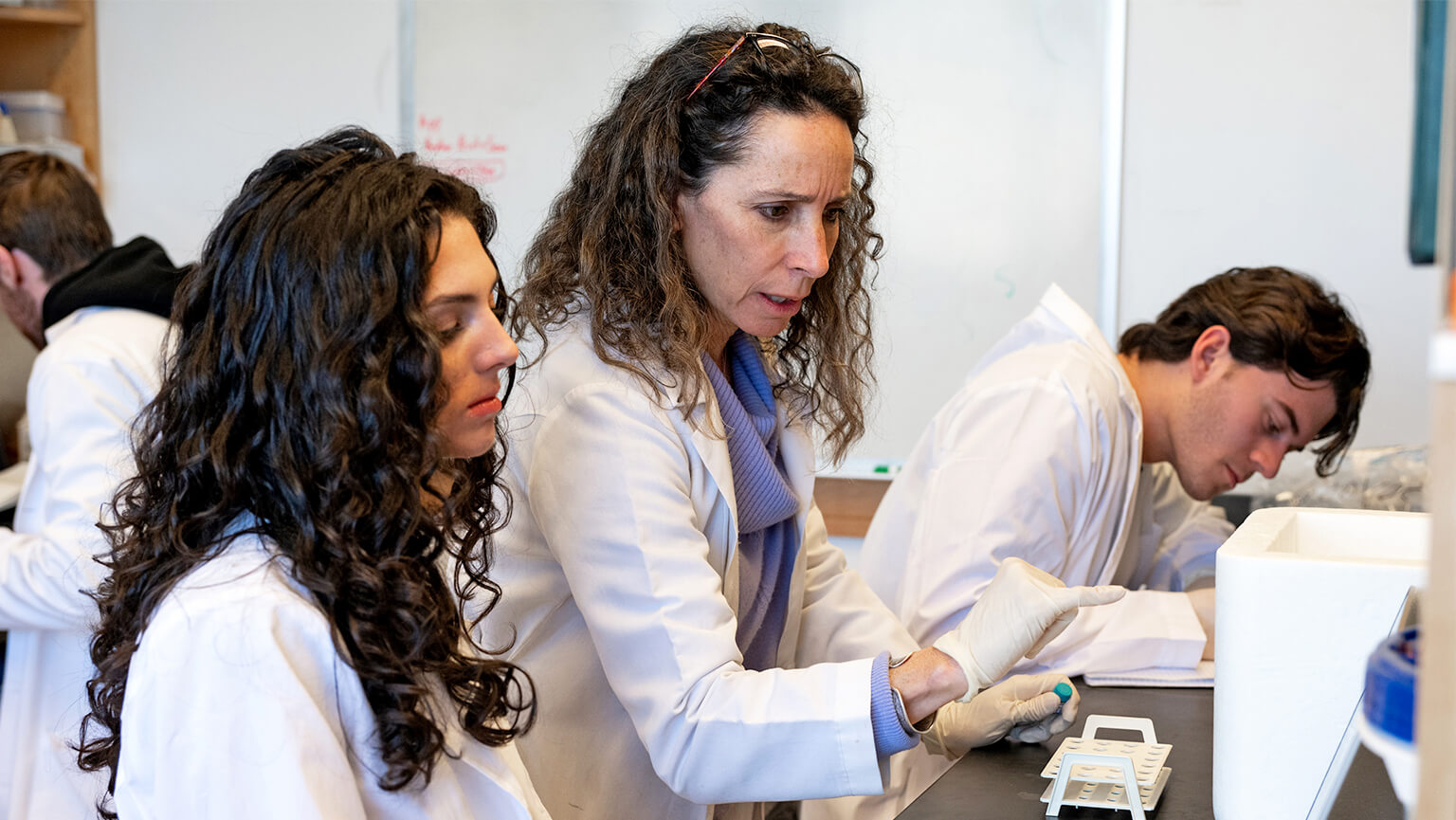 Dr. Shelley Phelan in a lab coat explains a procedure to a female student in a science lab, while a male student works in the background. The atmosphere is focused.