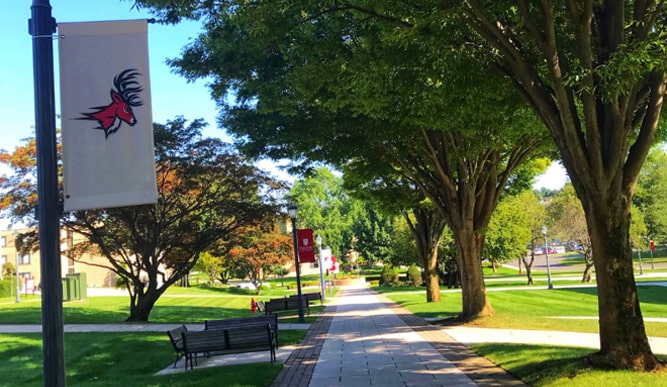 Beautiful image of Fairfield campus in the summer