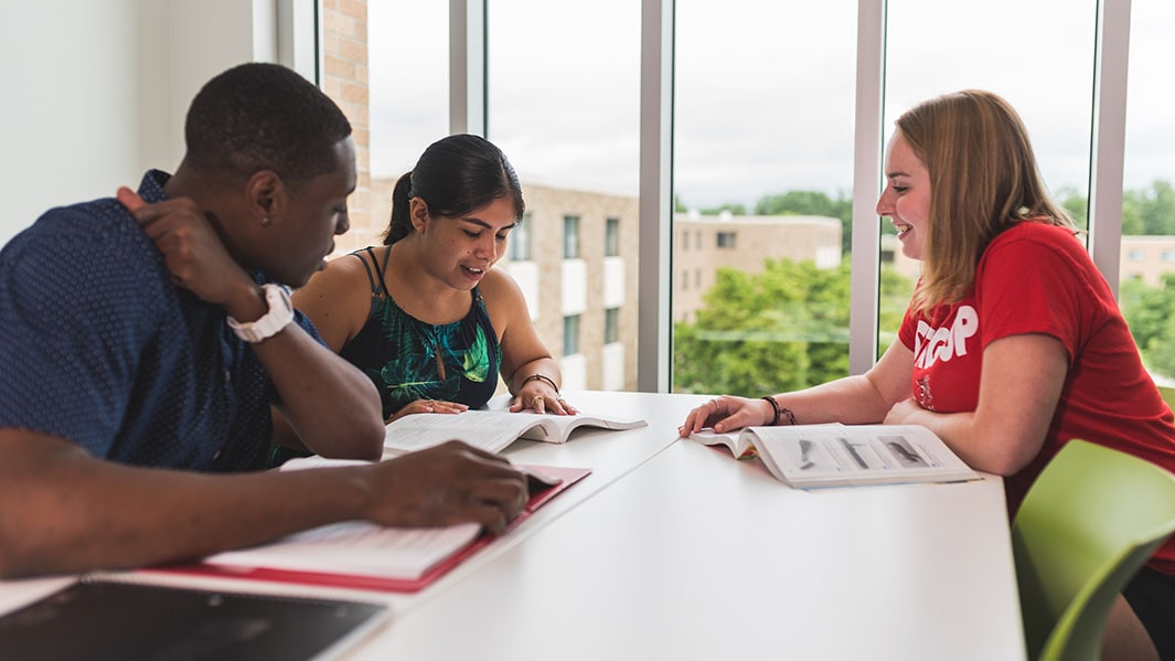 Students working collaboratively in a Dolan study room on a group project.