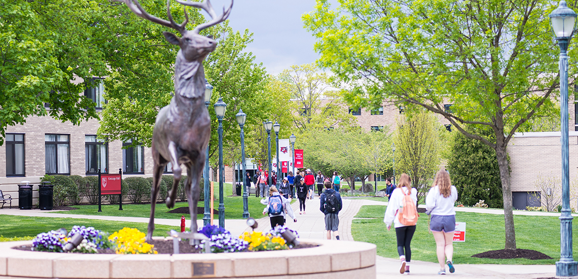 Stag Statue on Fairfield University campus