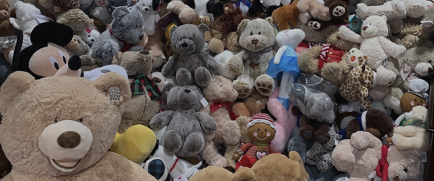 where do they sell teddy bears