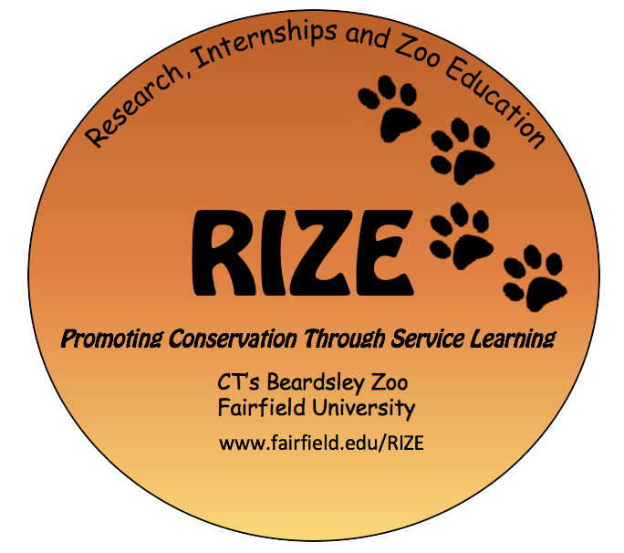 RIZE Pawprint Logo