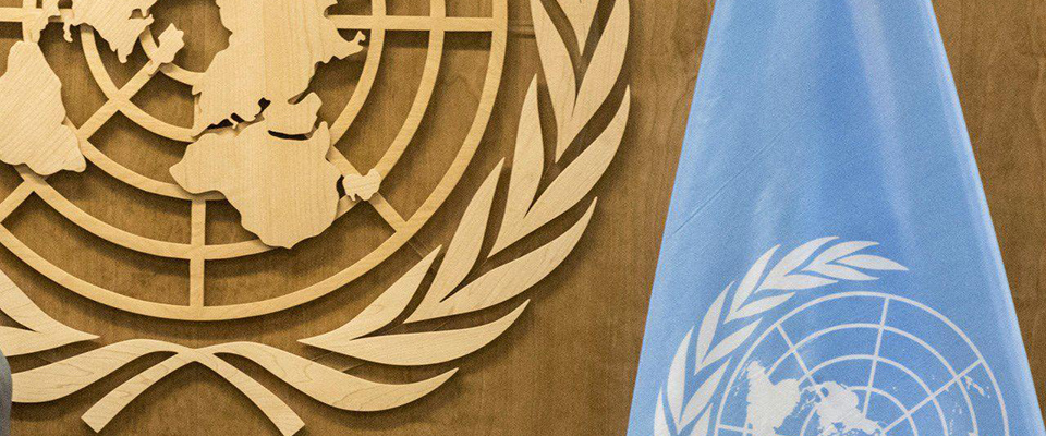 Организация объединенных народов. Совет по правам человека ООН. Совет ООН по правам человека лого. СПЧ ООН. Защита ООН.