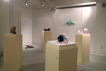 Gallery 10 image