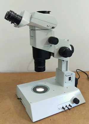 11661_soe_labs_stereo-microscope_07312018