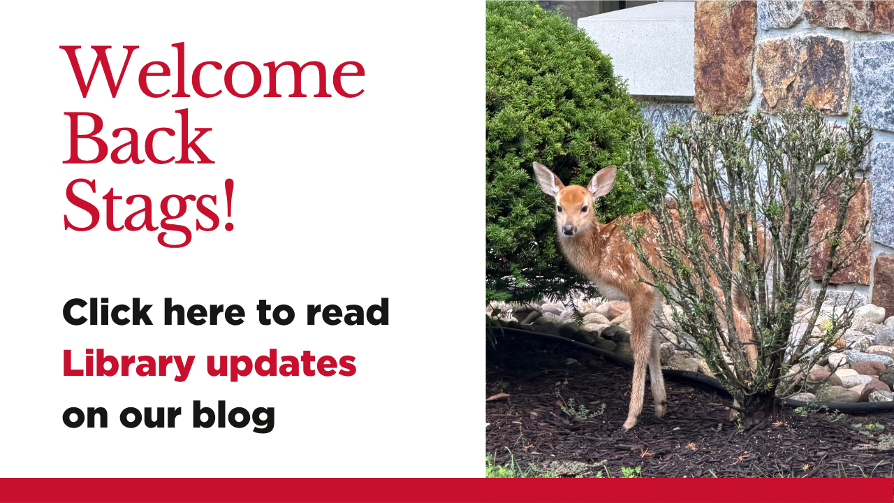 Welcome Back Stags