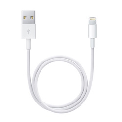 USB Power Adaptor with Apple Lightning Cable
