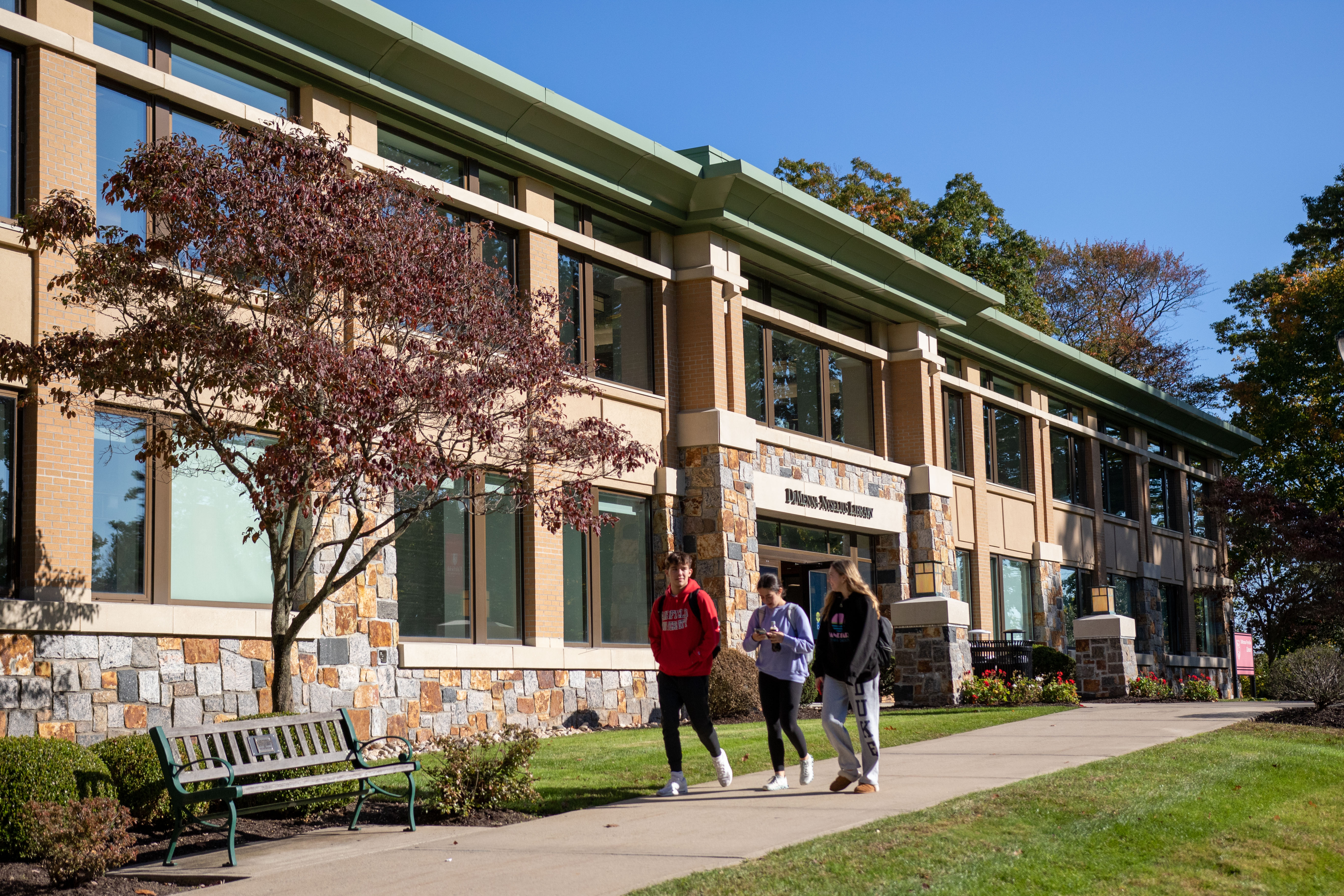 Academic Commons in the DiMenna-Nyselius Library