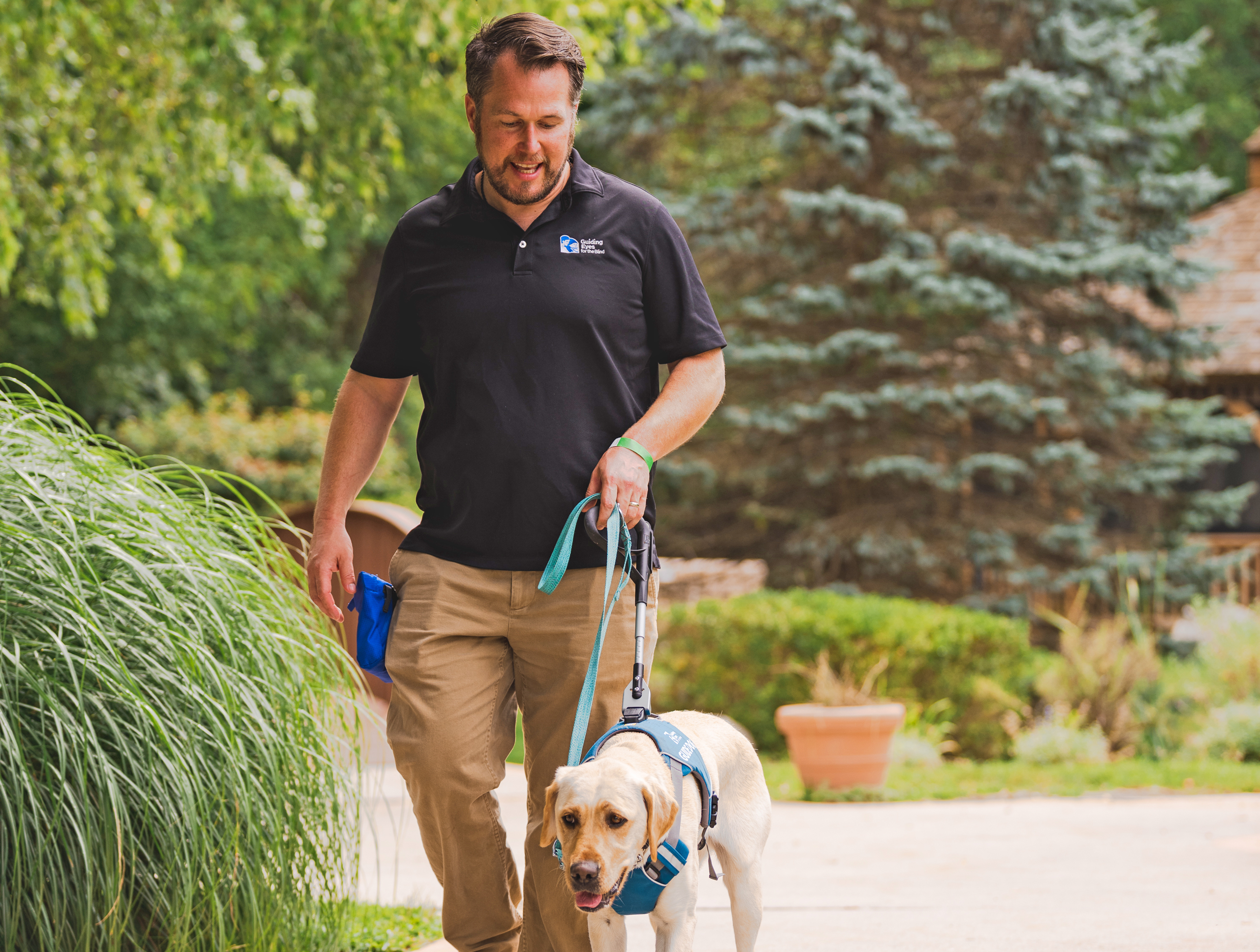  Ben Cawley ’96 walks with Becky, a two-year-old Labrador retriever, in the Guiding Eyes training program.