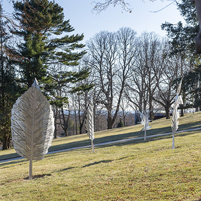 Leaves Exhibition