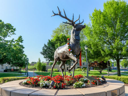 Image of Fairfield University stag statue
