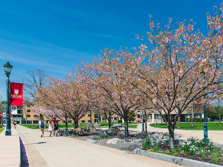 Fairfield University Campus image