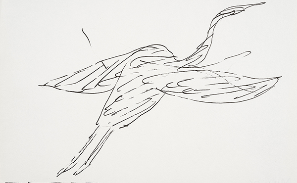 Image: Pace, Stephen, Untitled [Heron in Flight 2], 1991, Ink on paper
