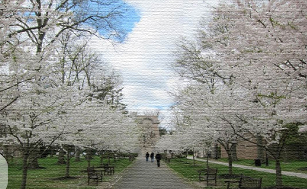 Princeton campus in spring