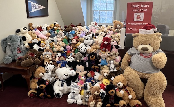 Teddy Bears on display