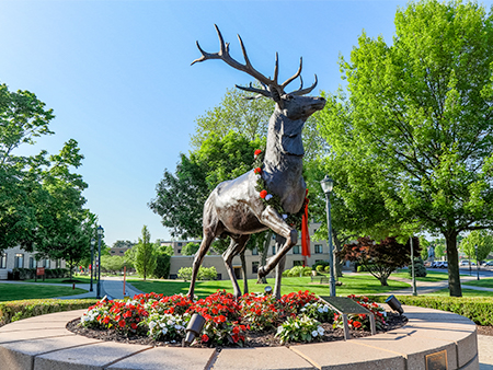 Stag Statue at Fairfield University