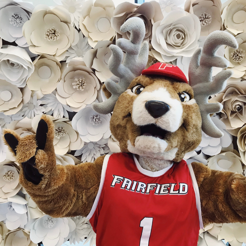 Fairfield University Mascot, Lucas the Stag