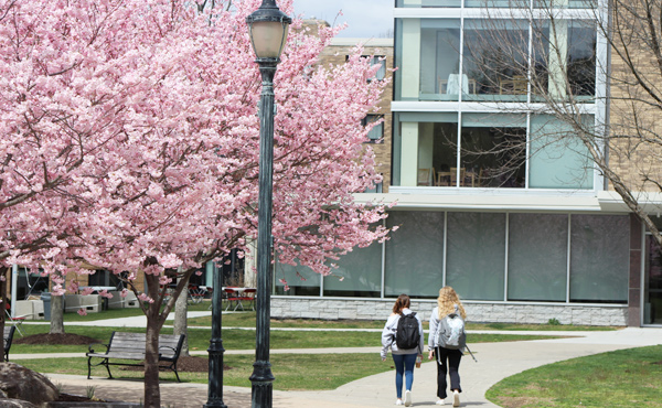 Read 5 Things Admitted Students Should Know Before Attending a Fairfield in Focus Event Article