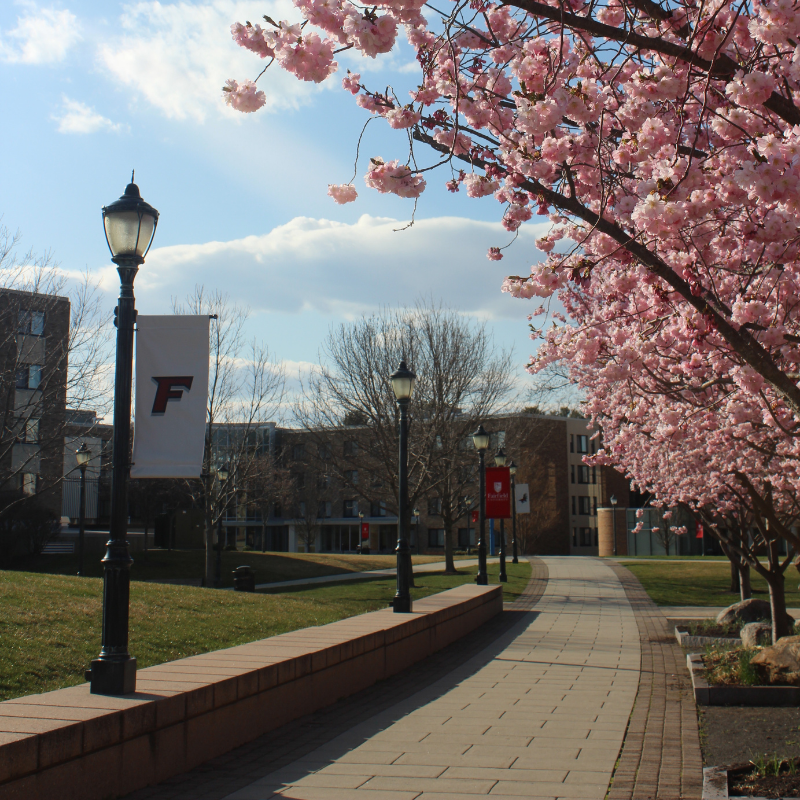 Stone-paved walkways flanked by red and white University banners and cherry blossom trees.