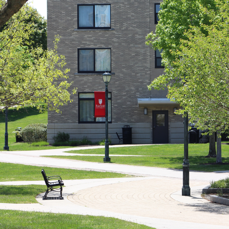 Winding, stone-paved walkway that cuts through and connects buildings across the campus quad.