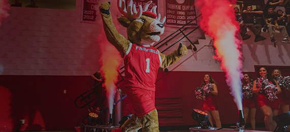 Inside photo of the Convocation Center at Fairfield University